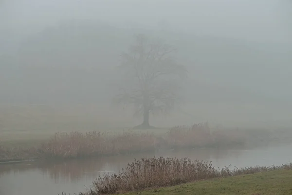 Une Belle Vue Sur Paysage Brumeux Bord Lac — Photo