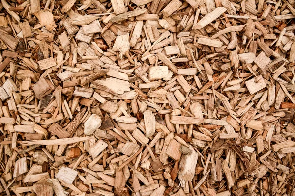 Closeup Shot Wood Chippings — Stock Photo, Image