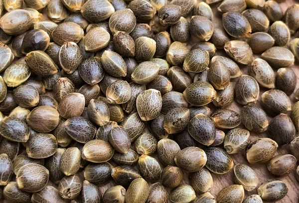 Top View Group Cannabis Seeds — Stock Photo, Image