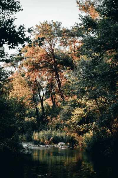Eine Vertikale Aufnahme Der Wunderschönen Herbstlandschaft See — Stockfoto