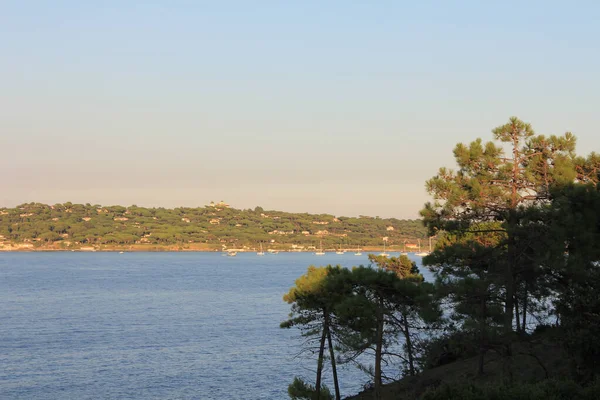 Gros Plan Une Mer Entourée Paysage Forêts — Photo