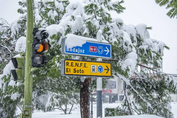 Las Señales Tráfico Los Árboles Cubiertos Nieve Capturados Frío Día — Foto de Stock