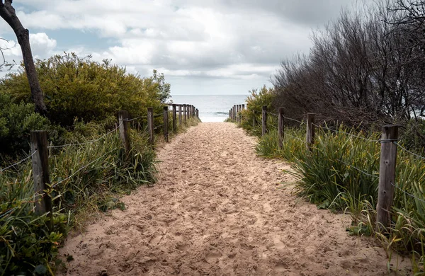 砂浜の公園内のフェンスや植物に囲まれた砂浜の道 — ストック写真