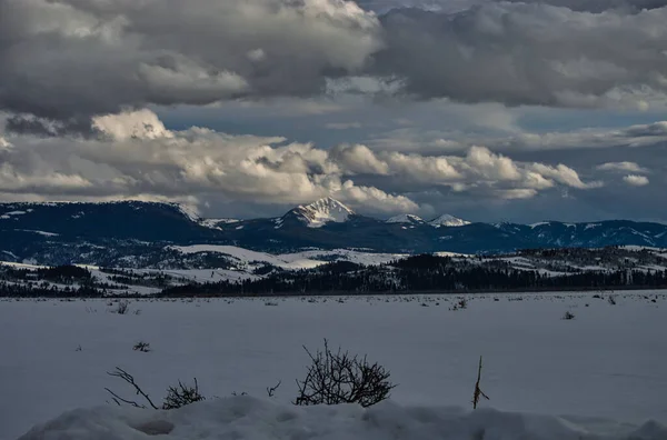 Uma Bela Foto Floresta Coberta Neve Montanhas Dia Inverno — Fotografia de Stock