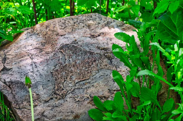 Ένα Κοντινό Πλάνο Μιας Τεράστιας Πέτρας Που Περιβάλλεται Από Πράσινο — Φωτογραφία Αρχείου