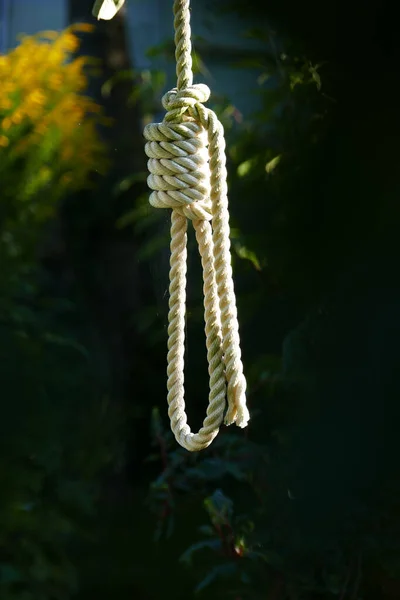 Une Corde Avec Nœud Pour Potence Concept Suicide — Photo