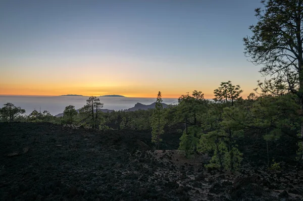 Hermoso Paisaje Paisaje Con Muchos Árboles Bajo Impresionante Cielo Del —  Fotos de Stock