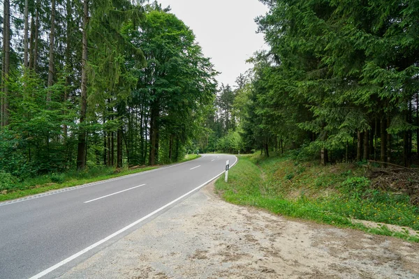 Άδειος Ασφαλτοστρωμένος Δρόμος Δάσος — Φωτογραφία Αρχείου
