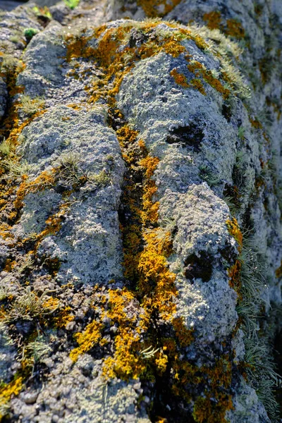 Disparo Vertical Una Piedra Bellamente Cubierta Musgo Hierba Día —  Fotos de Stock