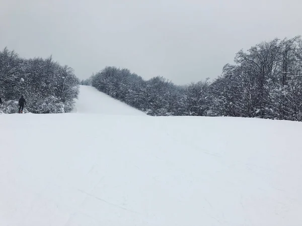 Primo Piano Una Foresta Inverno Coperta Neve Profonda — Foto Stock