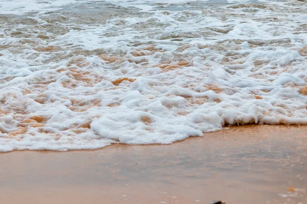 Beautiful Shot Ocean Beach — Stock Photo, Image