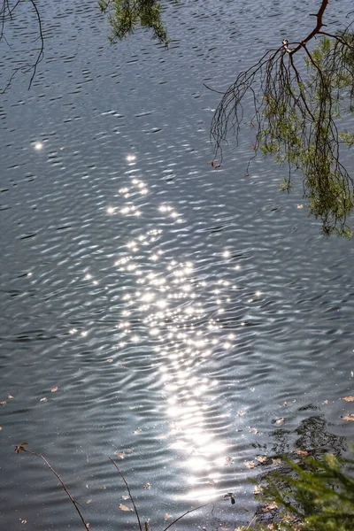 Vertikální Záběr Slunečního Světla Jiskřícího Vodě Jezera — Stock fotografie