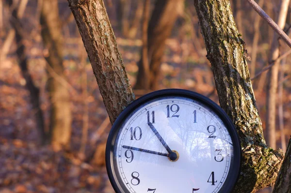 Orologio Rotondo Terra Nella Natura — Foto Stock