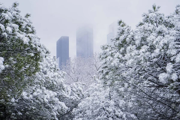 A beautiful shot of a snowy park with the Madrid four towers in the background