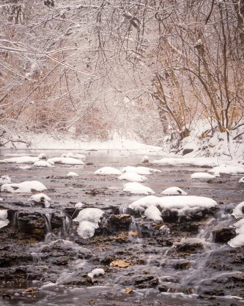 Eine Vertikale Aufnahme Des Verschneiten Flusses Wald Während Der Wintersaison — Stockfoto