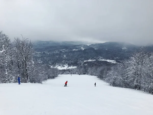 Primo Piano Resort Invernale Sotto Tempo Nebbioso — Foto Stock