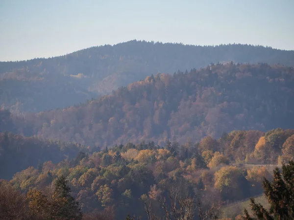 Colpo Ipnotizzante Una Foresta Nebbiosa Montagnosa Giorno Sotto Cielo Limpido — Foto Stock