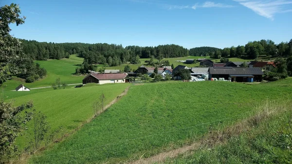 Zbliżenie Zdjęcia Domów Polu Lasem Tle — Zdjęcie stockowe