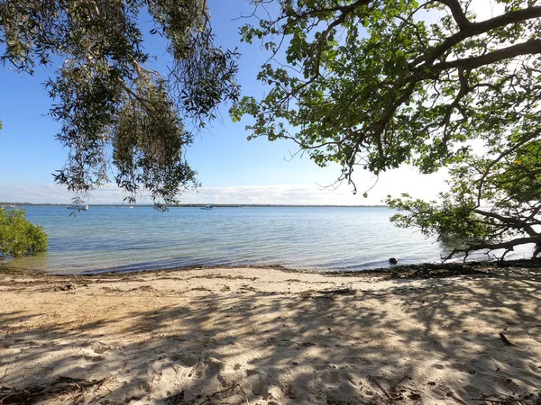 Ein Schuss Wasserlandschaft Vom Seeufer Baumschattierungen Sand — Stockfoto