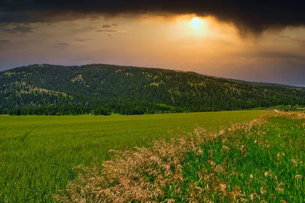 Ein Schöner Blick Auf Eine Grüne Landschaft Unter Bewölktem Himmel — Stockfoto