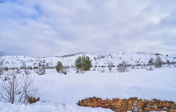 Eine Wunderschöne Winterlandschaft Mit Blattlosen Bäumen Die Unter Einem Bewölkten — Stockfoto