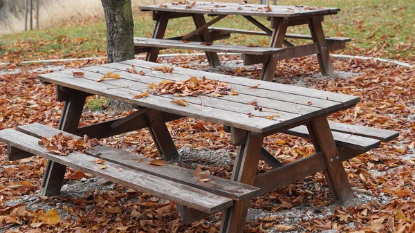 Gros Plan Chaises Table Bois Dans Forêt — Photo