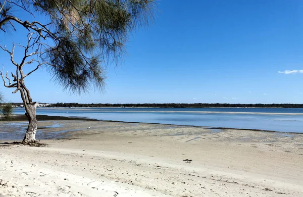 Bel Colpo Una Tranquilla Spiaggia Sabbia Selvaggia Pittoresco Paesaggio Marino — Foto Stock