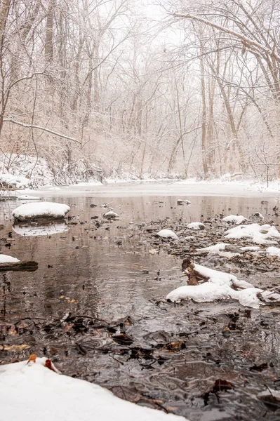 Plan Vertical Rivière Enneigée Dans Forêt Pendant Saison Hivernale — Photo