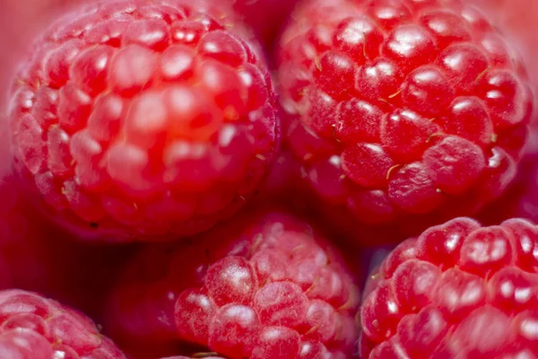 Close Several Raspberries White Background Healthy Food Excellent Source Natural — Stock Photo, Image