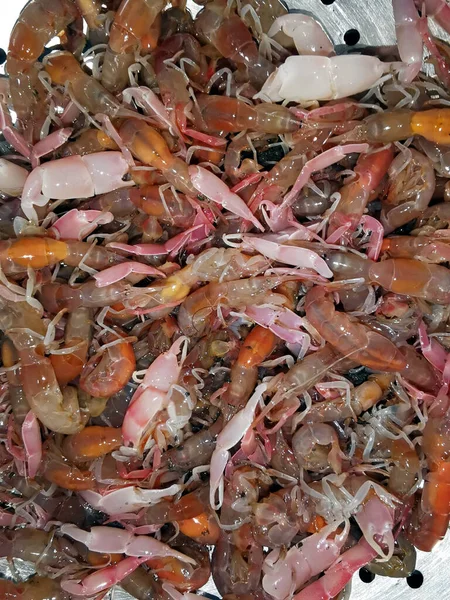 Tumpukan Udang Yang Baru Tertangkap Dalam Wadah — Stok Foto