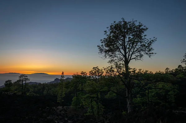 Krásná Scenérie Krajiny Spoustou Stromů Pod Úchvatnou Oblohou Západu Slunce — Stock fotografie