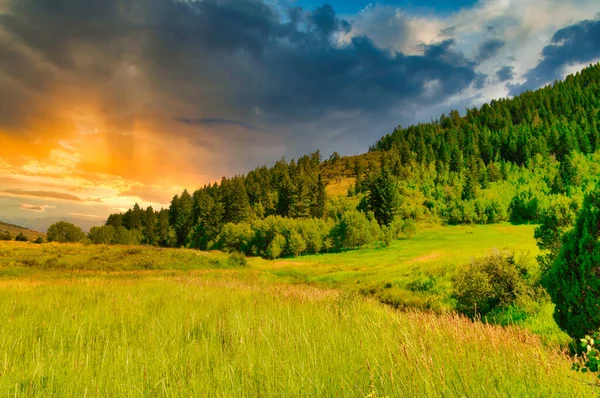 Красивый Вид Зеленое Поле Перед Носом — стоковое фото