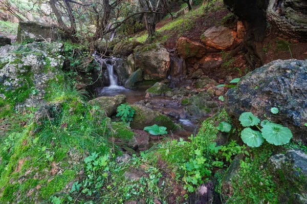 Ein Malerischer Kaskadenwasserfall Eines Schmalen Felsigen Baches Einem Park — Stockfoto