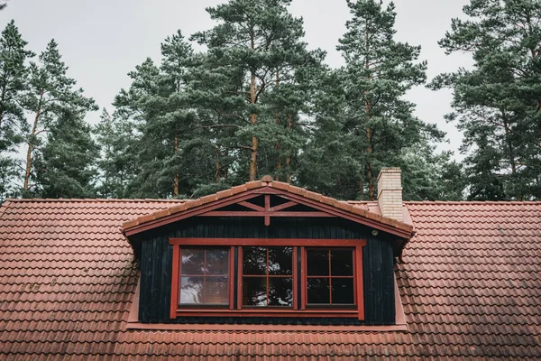 Närbild Sovsal Byggnad Skogen Lettland — Stockfoto