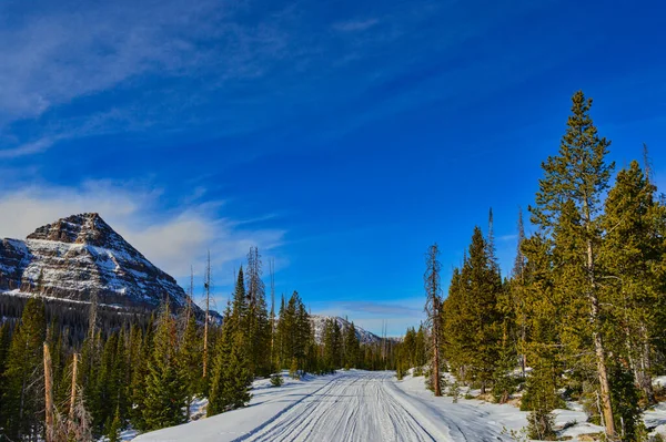 Захоплюючий Вид Красивий Зимовий Пейзаж Під Блакитним Небом — стокове фото