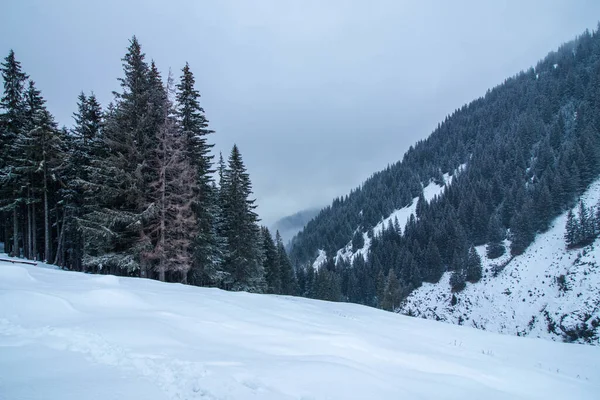 Uma Bela Paisagem Montanhosa Inverno — Fotografia de Stock