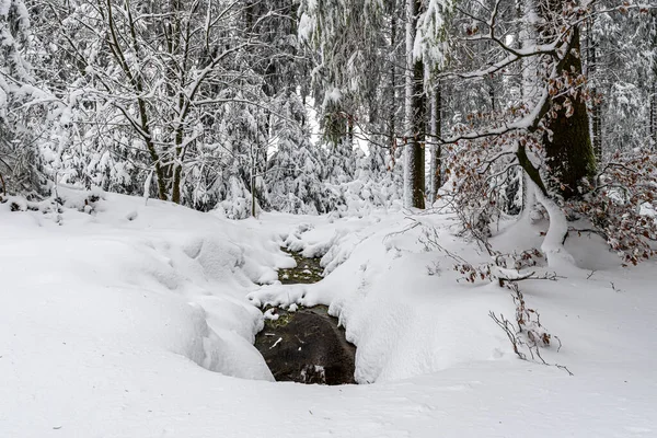 ドイツの雪に覆われた黒い森の風景 — ストック写真