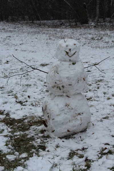 一个滑稽的雪人在白天的田野里垂直拍摄的照片 — 图库照片