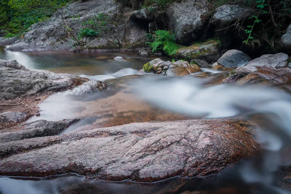 森の中に岩が立ち並ぶ川の美しい景色 — ストック写真