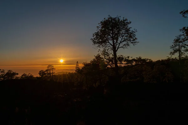 Krásný Výhled Krajinu Stromy Pod Úchvatnou Oblohou Západu Slunce — Stock fotografie