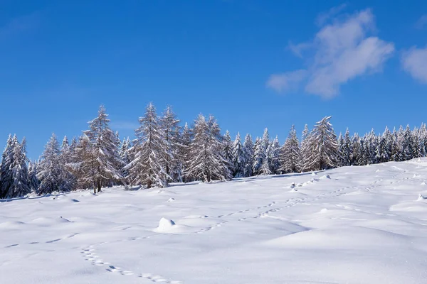 Uma Bela Paisagem Inverno Mostrando Uma Paisagem Montanhosa Austríaca — Fotografia de Stock