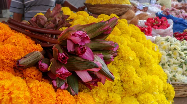 Close Flores Coloridas — Fotografia de Stock