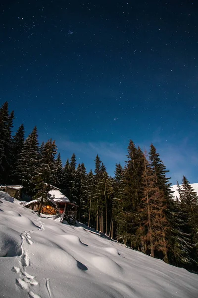 Plano Vertical Montañas Cubiertas Nieve Bajo Cielo Oscuro — Foto de Stock