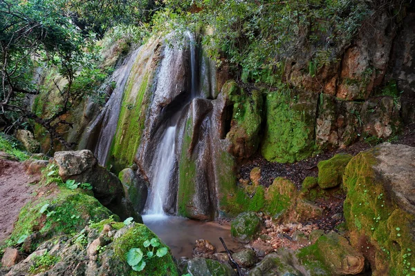 Malebný Kaskádový Vodopád Úzkého Skalnatého Potoka Parku — Stock fotografie