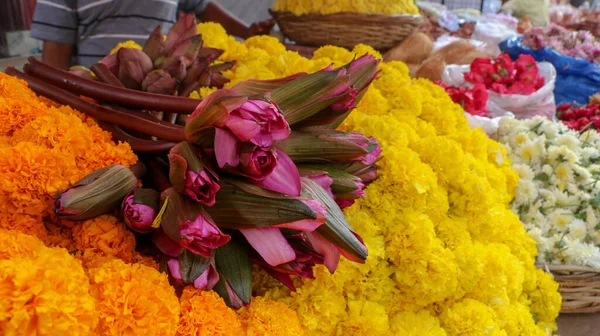 Closeup Shot Colorful Flowers Stock Photo