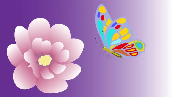 Butterfly Colorful Wings Flower Isolateon Purple Background — Stock Photo, Image