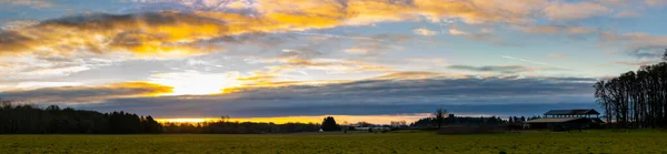 Panoramabild Ett Fält Täckt Grönska Solljuset Vacker Solnedgång — Stockfoto