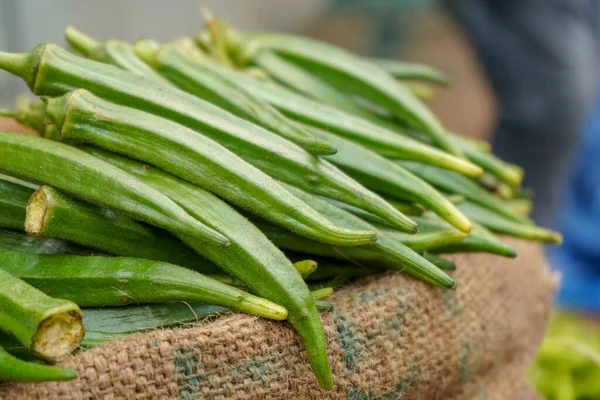 Eine Nahaufnahme Von Frischem Marienkäfer — Stockfoto