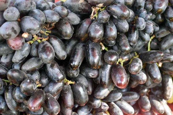 Красивый Снимок Спелого Черного Винограда — стоковое фото
