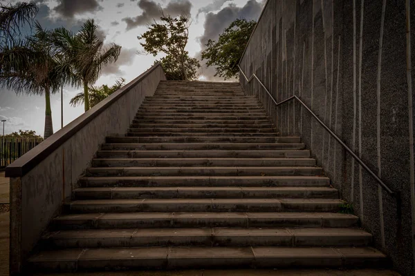 Belo Tiro Escadas Concreto Cercado Por Árvores Sob Nuvens Deslumbrantes — Fotografia de Stock